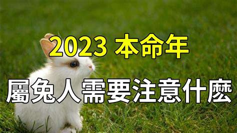 清明節由來 2023屬兔佩戴